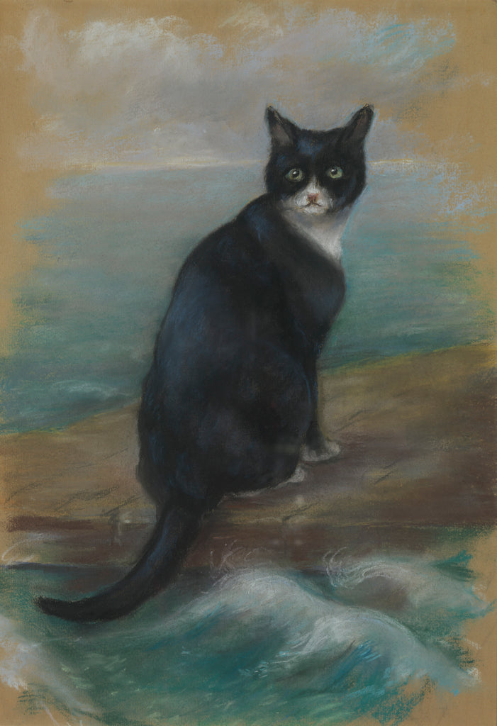 Detail of Oscar, cat from the German ship 'Bismarck' by Georgina Shaw Baker
