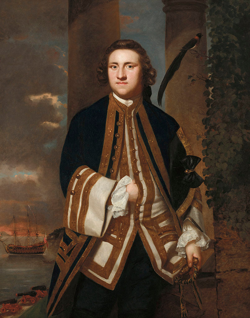Detail of Captain George Edgecumbe (1720-1795) by Joshua Reynolds
