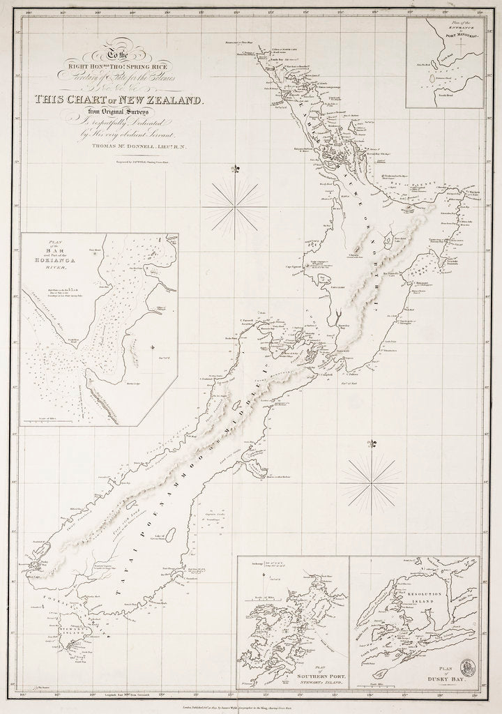 Detail of Chart of New Zealand by Thomas McDonnell