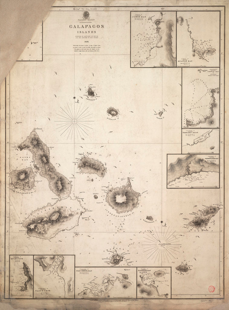 Detail of Chart of Galapagos Islands surveyed during voyage of HMS 'Beagle' by Robert Fitzroy
