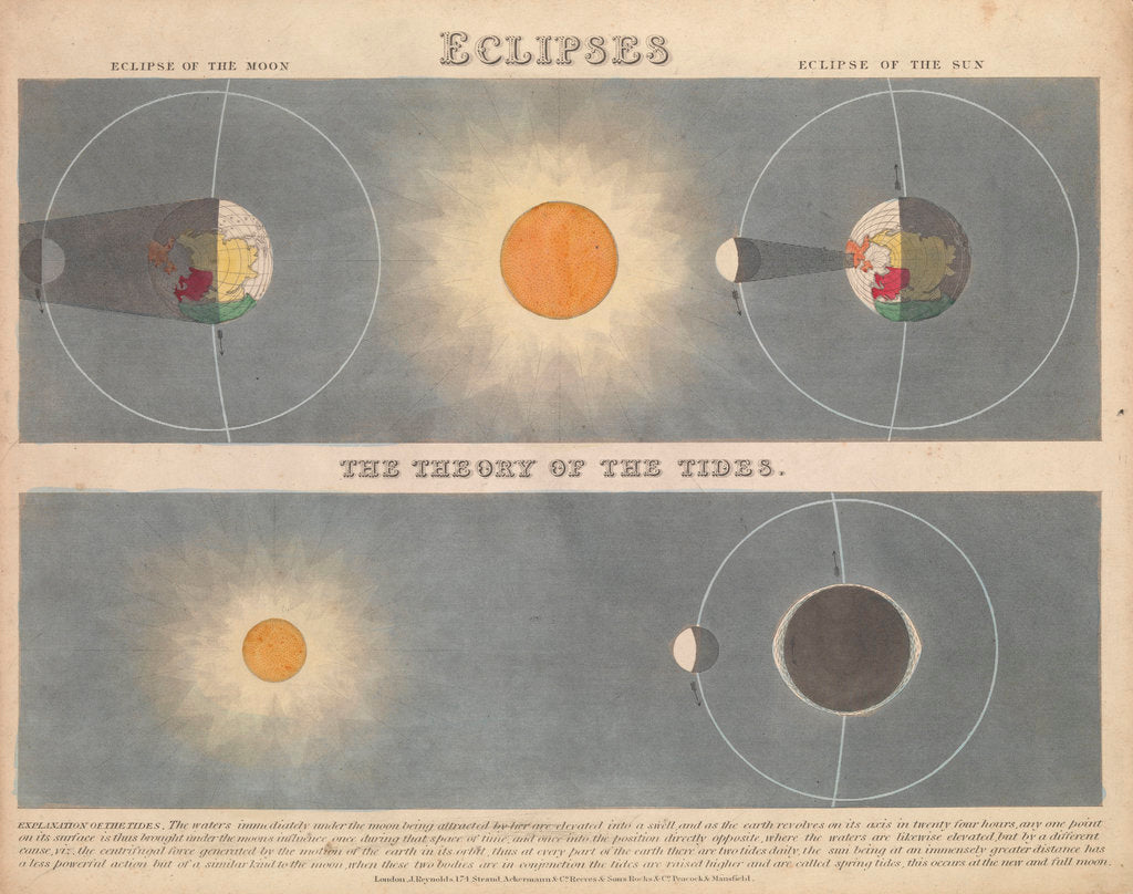 Detail of Eclipses by James Reynolds