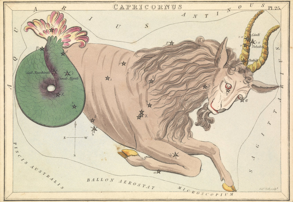 Detail of Capricornus by Sidney Hall