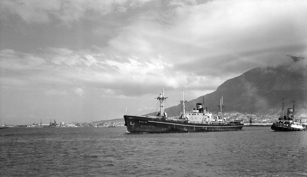 Detail of Liberty' type, general cargo ship 'Rialto' (Italy, 1943), ex 'Henry C. Paine'. Compagnia Armatoriale Italiana Molin & Meotto by unknown