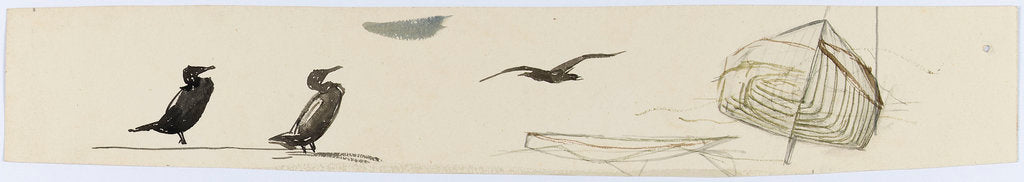 Detail of Seabirds by William Lionel Wyllie