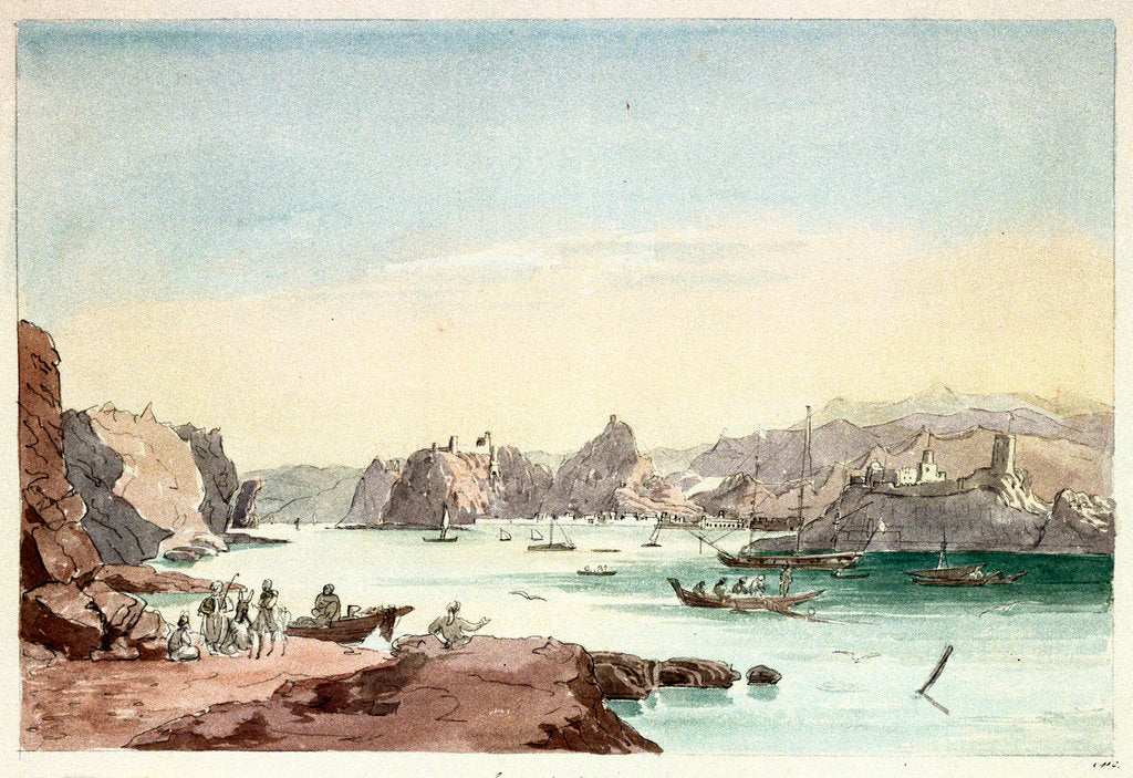 Detail of Cove of Muscat by Charles Hamilton Smith