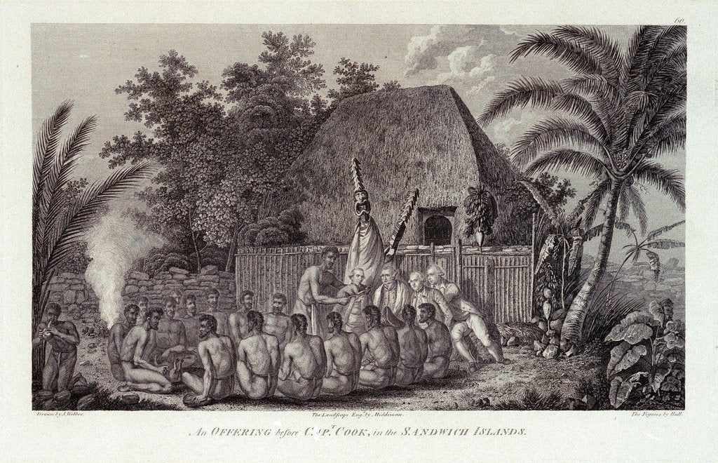 Detail of An offering before Capt Cook, in the Sandwich Islands by John Webber