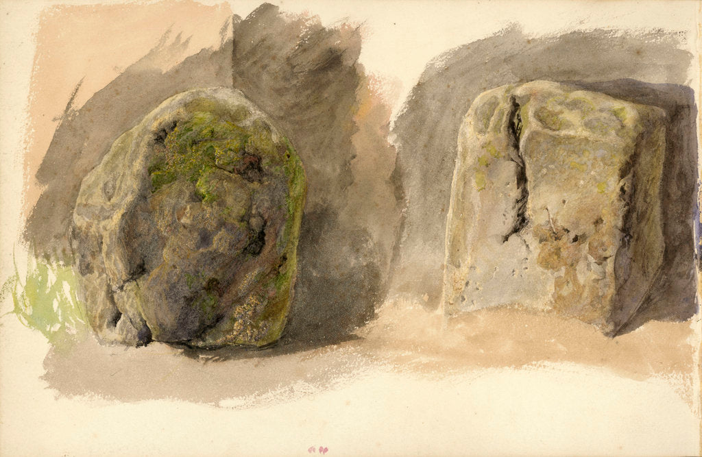 Detail of Studies of lichen covered boulder and a stone block (on reverse) by John Brett