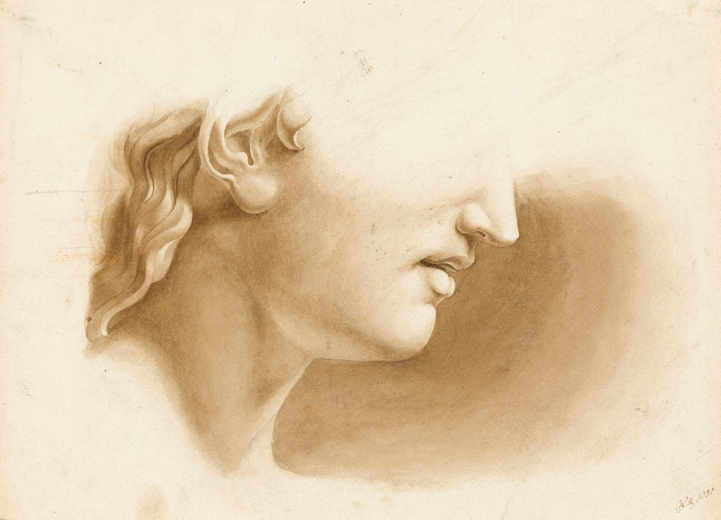 Detail of Study of the lower part of a human face, possibly a statue by Margaret Louisa Herschel