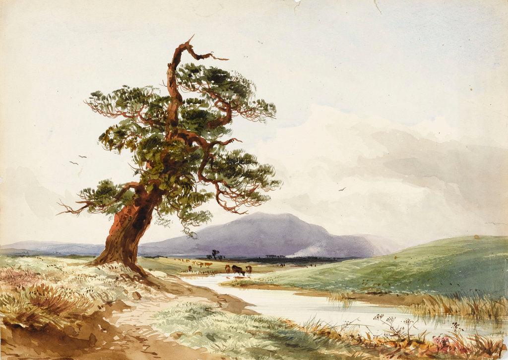Detail of View of a tree near a river with cattle drinking and purple hill beyond by John Frederick William Herschel