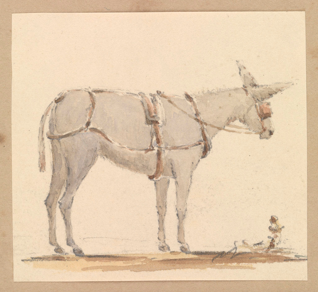 Detail of Study of a donkey with a bridle and harness by Robert Streatfeild
