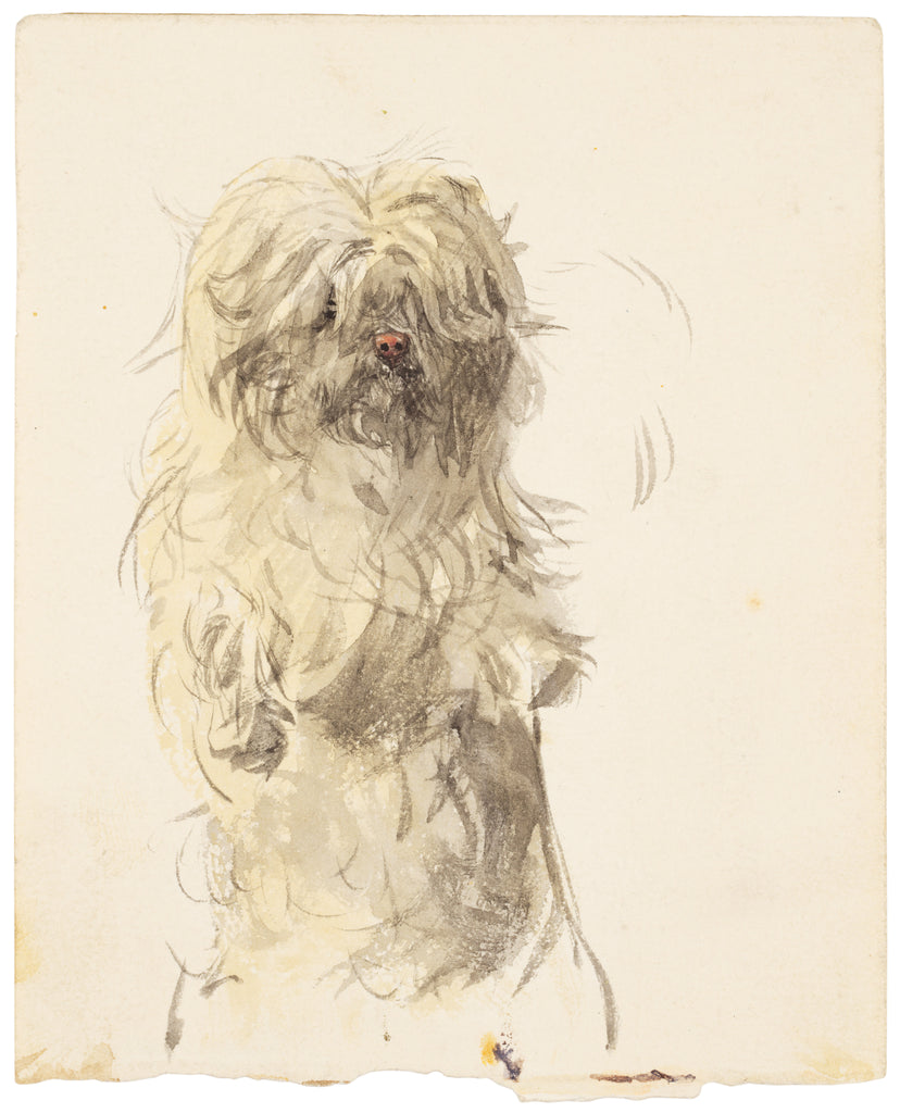 Detail of A dog of unconfirmed breed, shown standing on hind legs in a posture associated with begging by Unknown