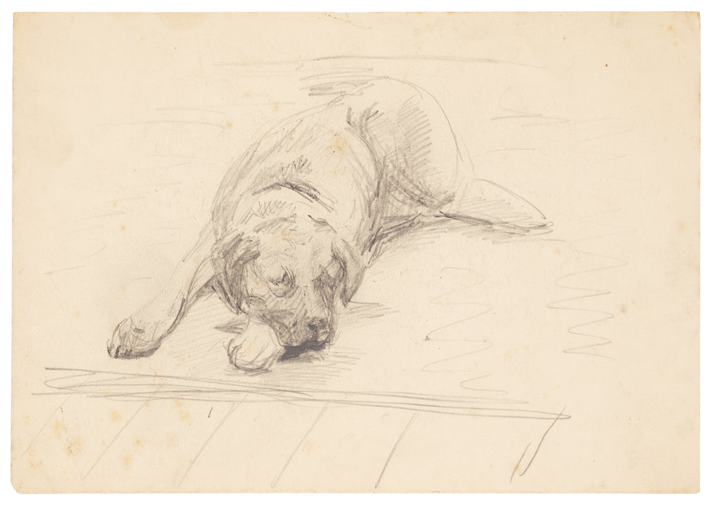 Detail of Dog lying with it's head on one side on a rug by Unknown