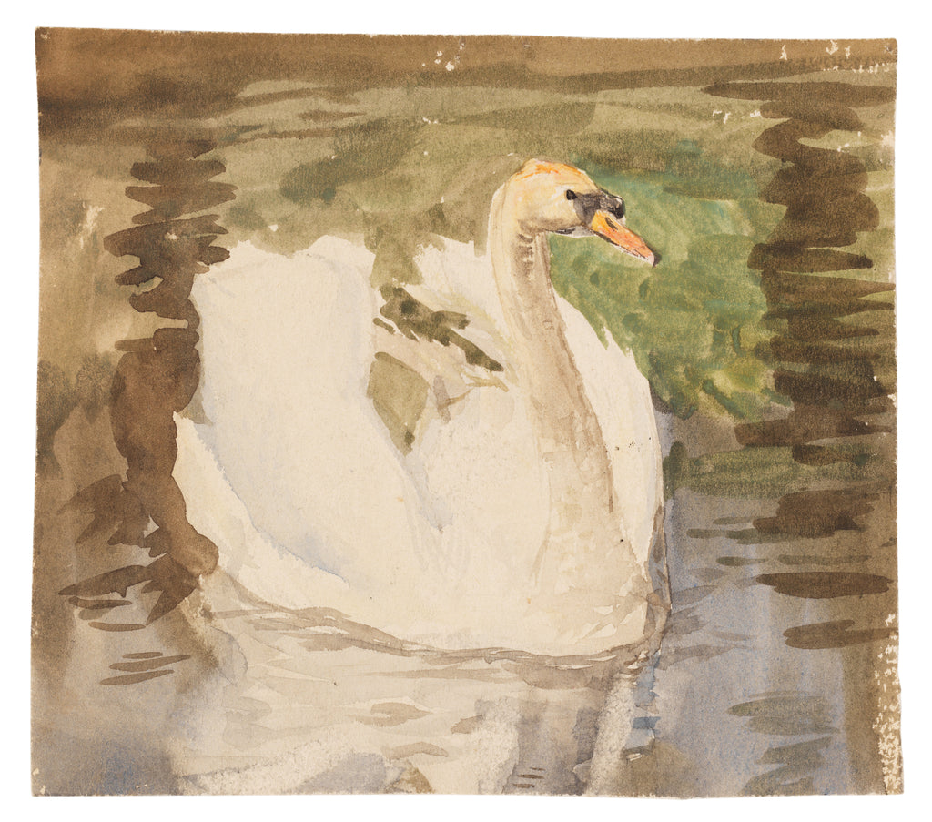 Detail of A swan with partly folded wings by Unknown