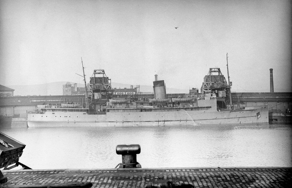 Detail of 'Princess Margaret' (Br, 1931) by unknown