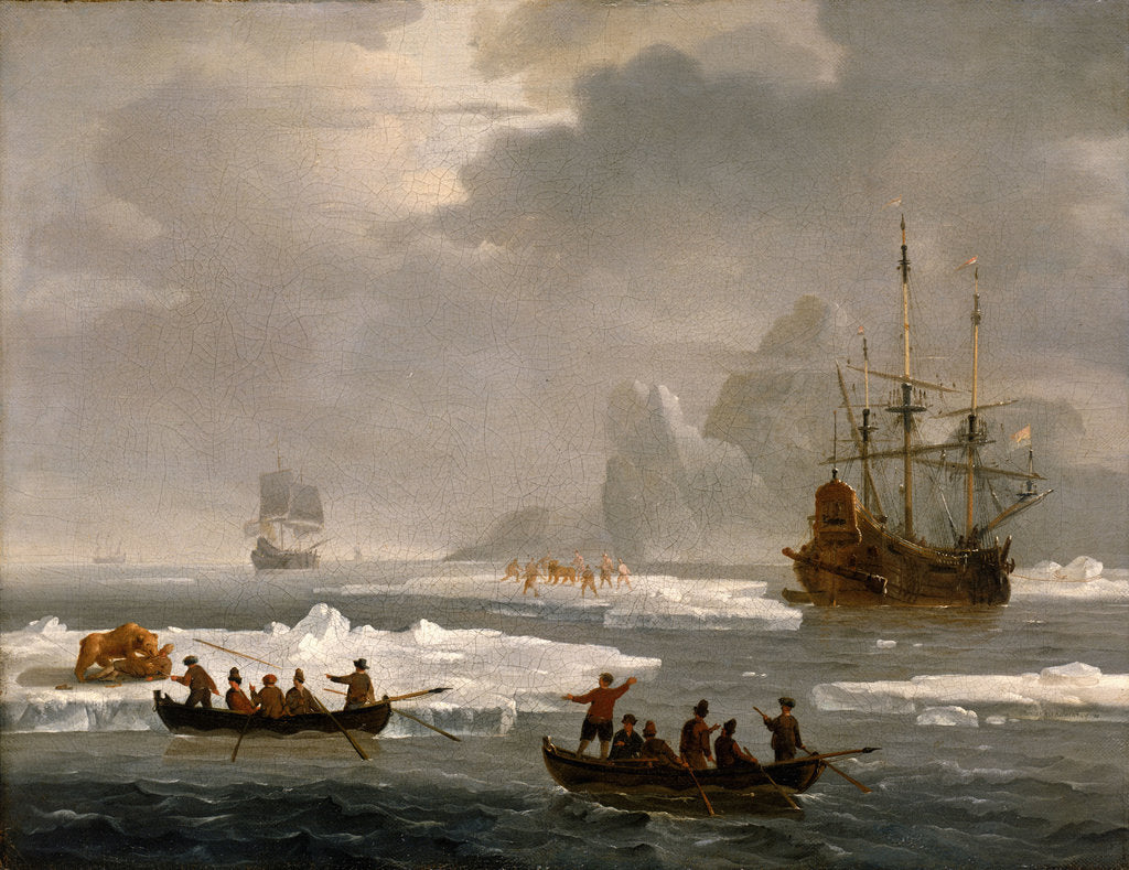 Detail of A bear hunt in the Arctic by Wigerus Vitringa