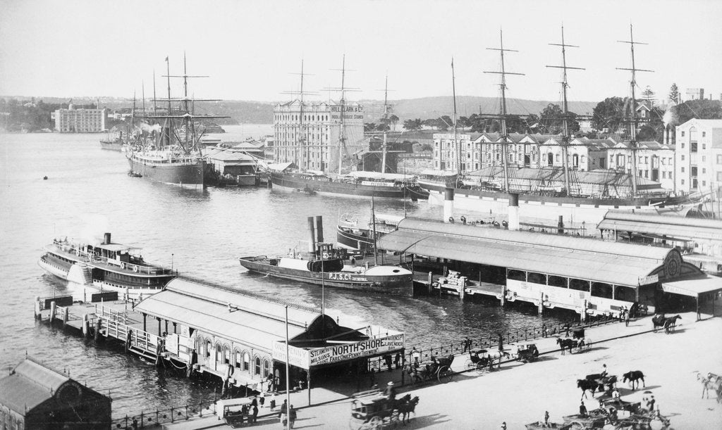Detail of Sydney, Australia by unknown
