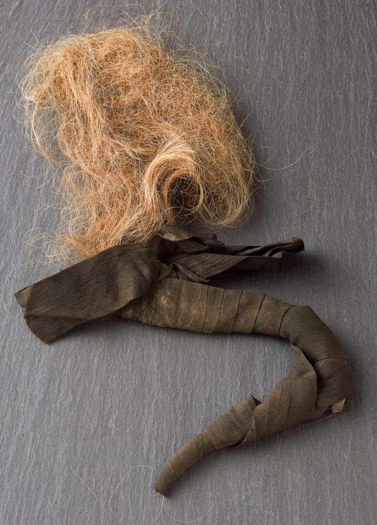 Detail of Nelson's pigtail by unknown