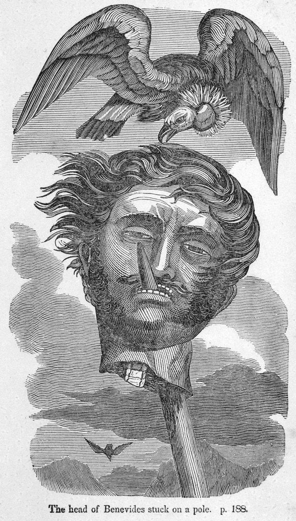 Detail of Severed head of the South American pirate Vincent Benevides by unknown