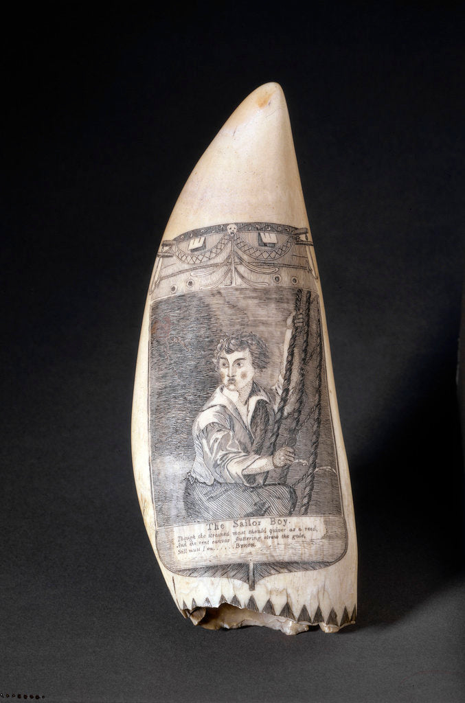 Detail of Scrimshaw whale tooth 