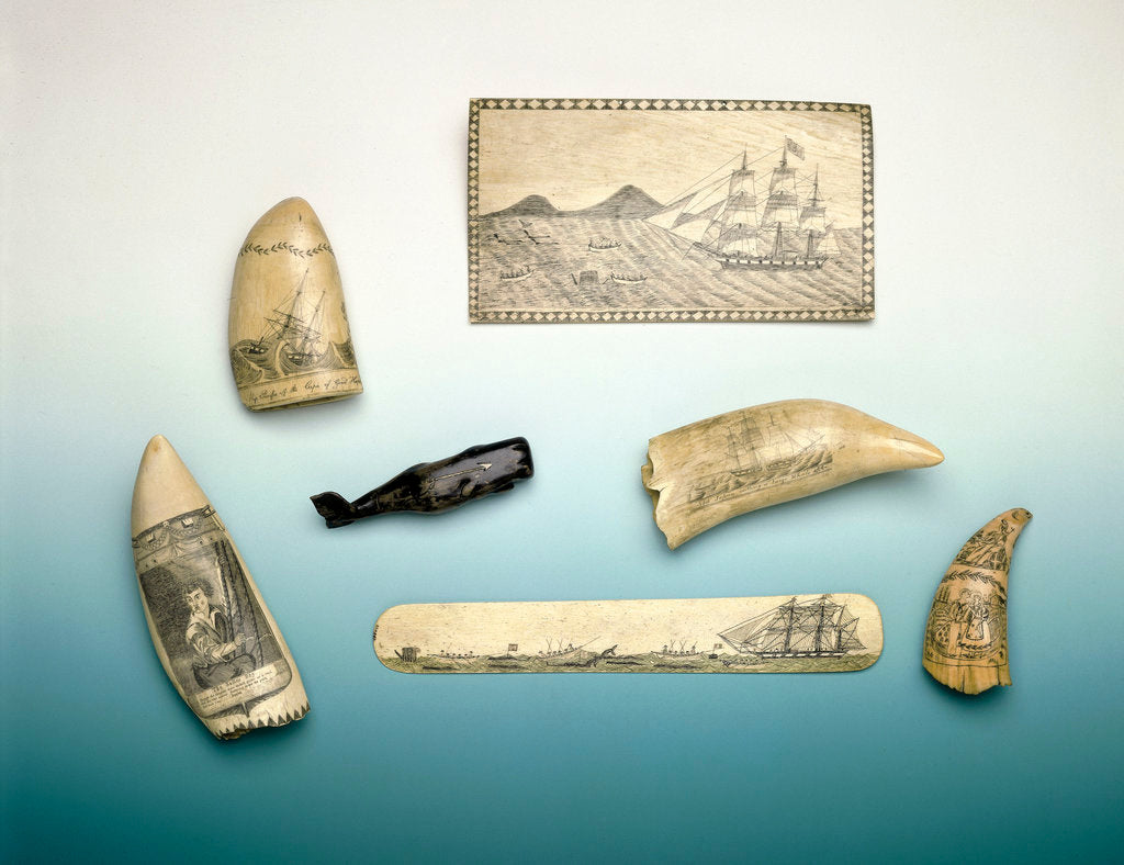 Detail of Engraved sperm whale's tooth by unknown