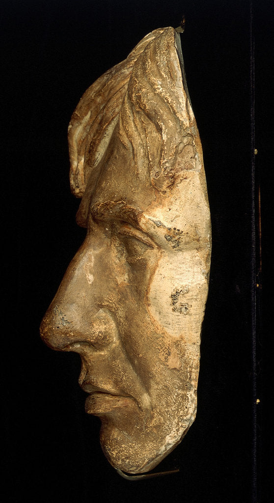 Detail of Plaster cast of  Nelson's face made in 1800 (Life mask) by unknown