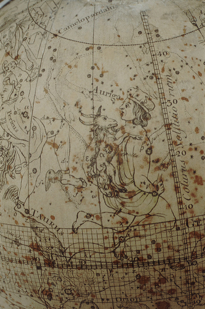 Detail of Auriga with goat and kids by William Bardin