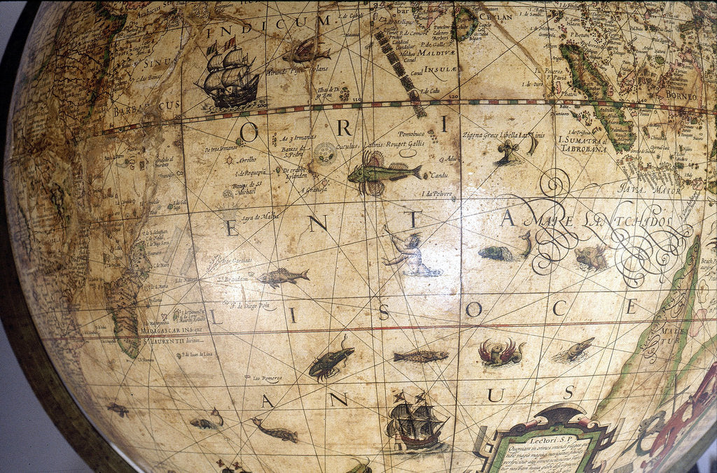 Detail of fish in Indian Ocean by Jodocus Hondius Jr