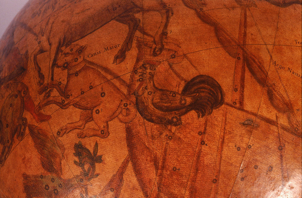 Detail of Canis Major by Matthaeus Greuter