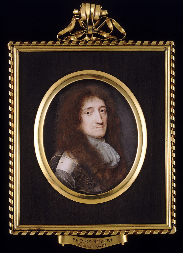 Detail of Prince Rupert (1619 -1682), Count Palatine of the Rhine, Duke of Cumberland by Samuel Cooper