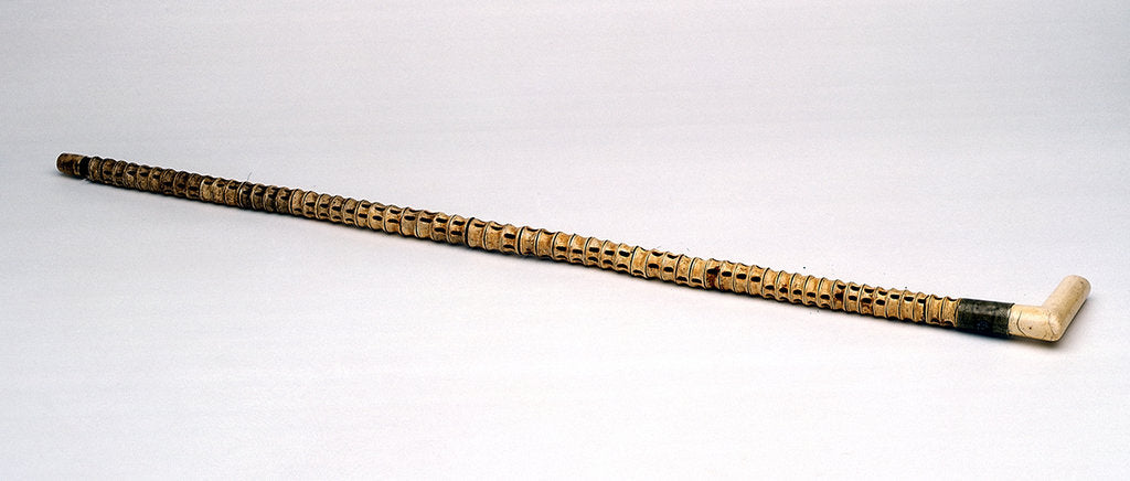 Detail of Walking stick made of shark vertebrae by unknown