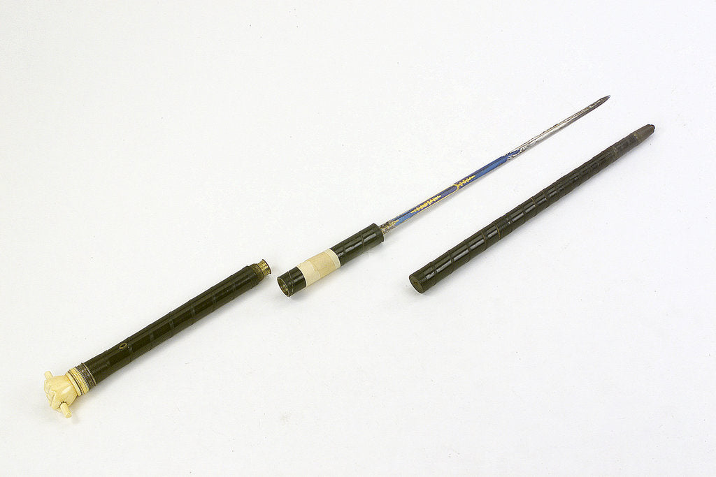 Detail of Swordstick, alleged to have belonged to Admiral Sir Thomas Pasley (1734-1808) by Issac Rennoldson