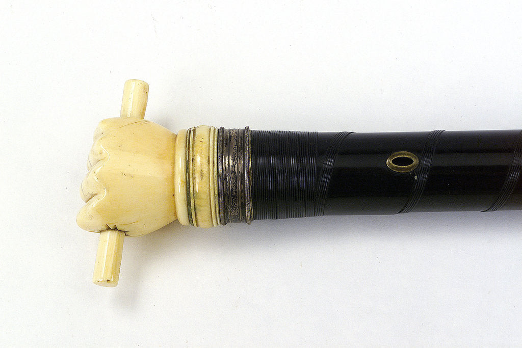 Detail of Swordstick, alleged to have belonged to Admiral Sir Thomas Pasley (1734-1808) by Issac Rennoldson