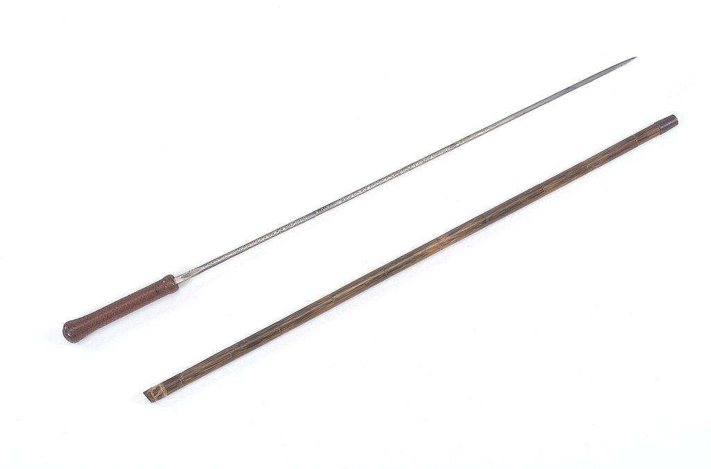 Detail of Sword-stick by Wilkinson
