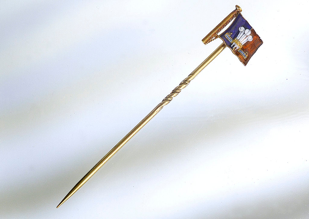 Detail of Pin by Benzie