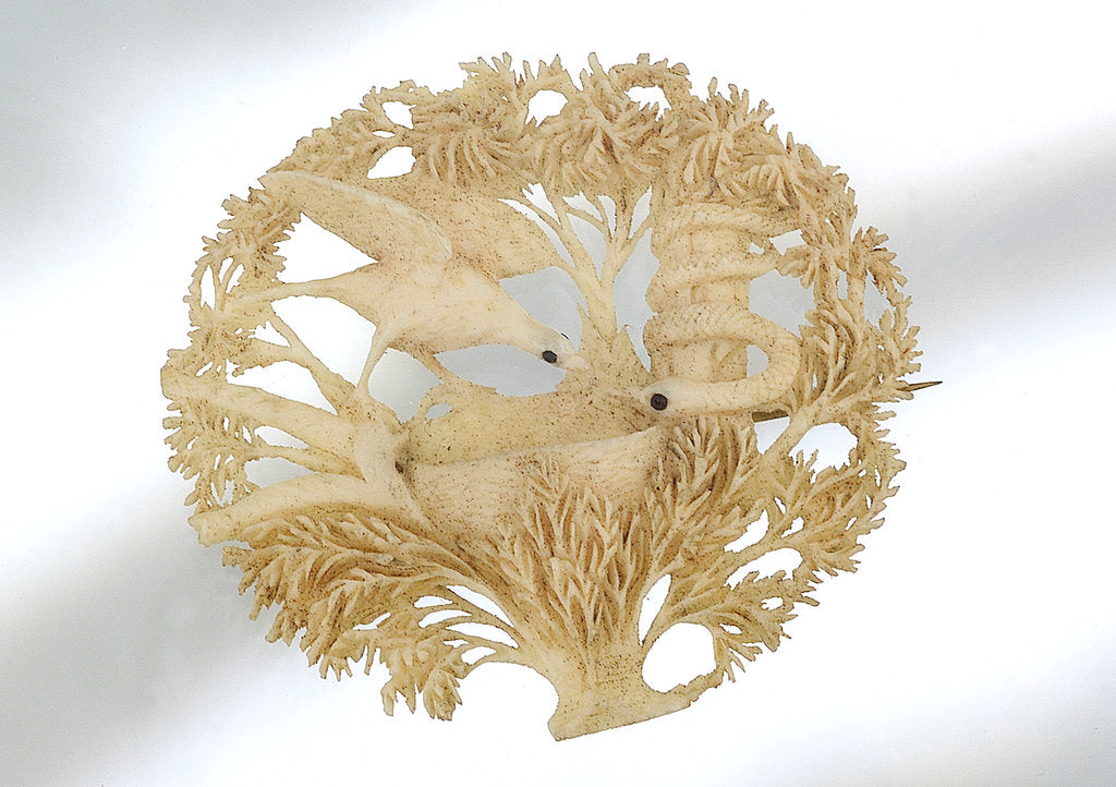 Detail of Brooch by unknown