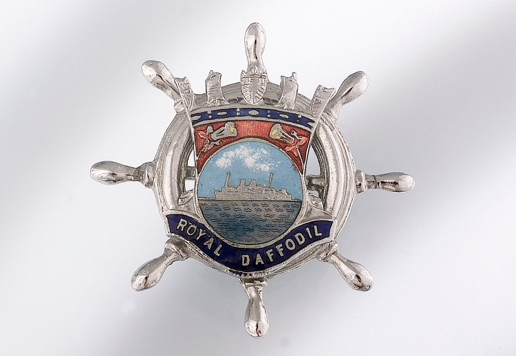Detail of Enamelled metal brooch by unknown