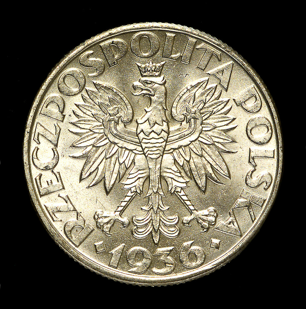 Detail of 2 zlote coin; obverse by unknown