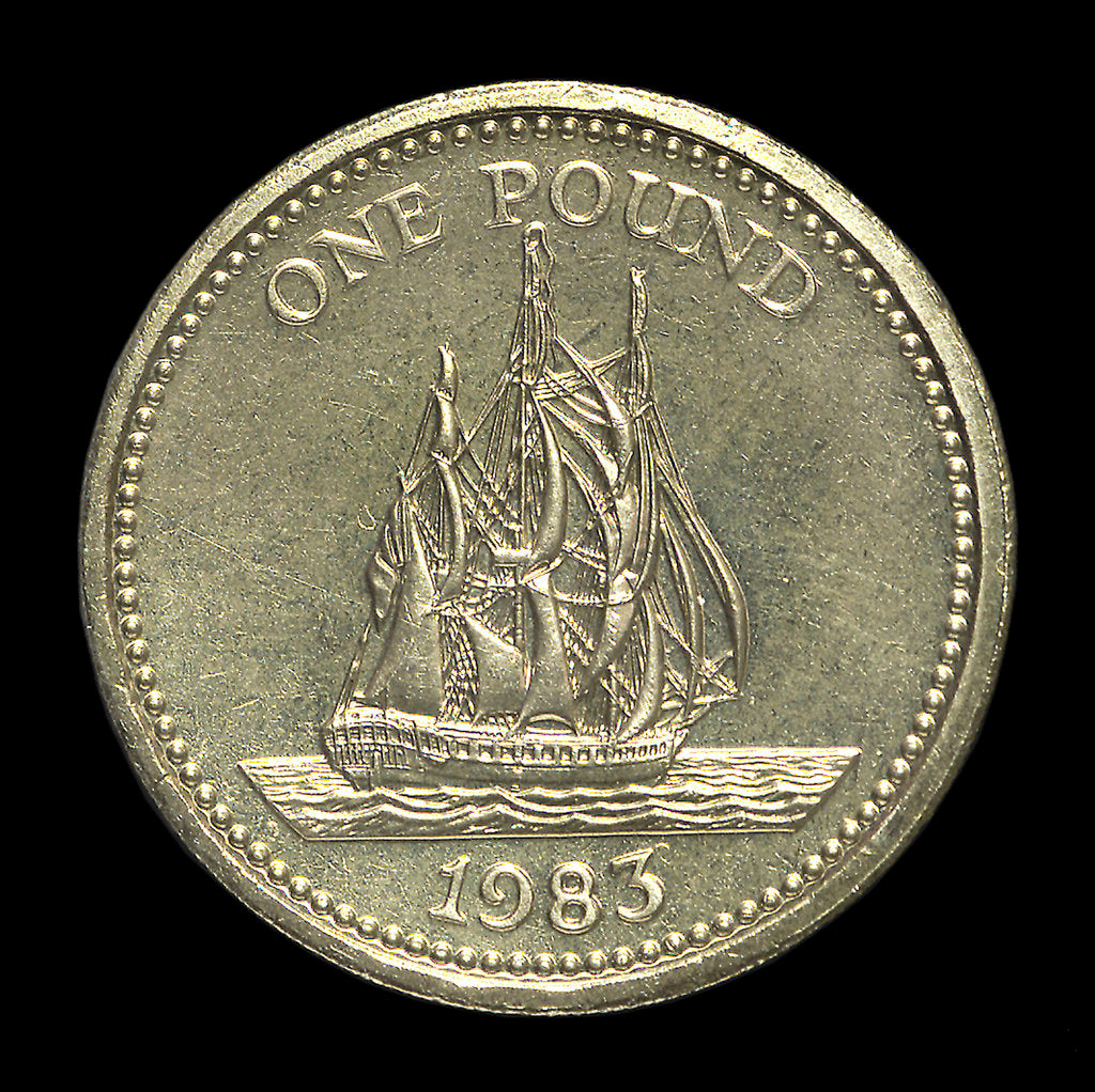 Detail of Pound; reverse by R. Elderton