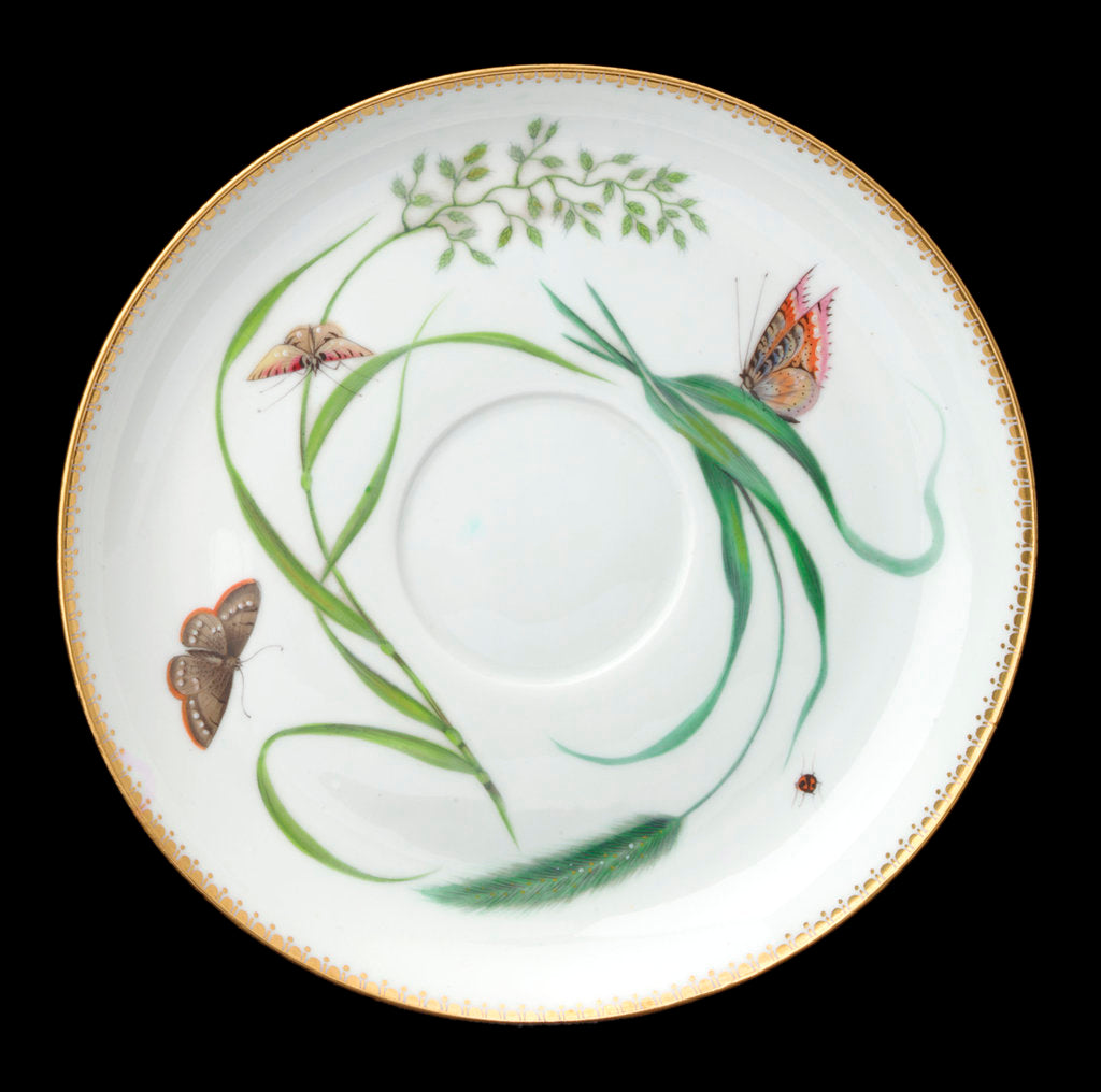 Detail of Saucer used on RY 'Alberta' (1863) by Worcester Royal Porcelain Co.