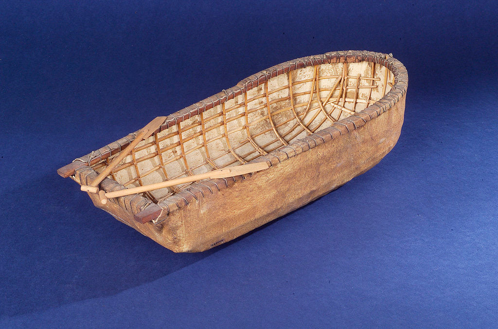 Detail of Donegal paddling curragh, starboard stern quarter by unknown