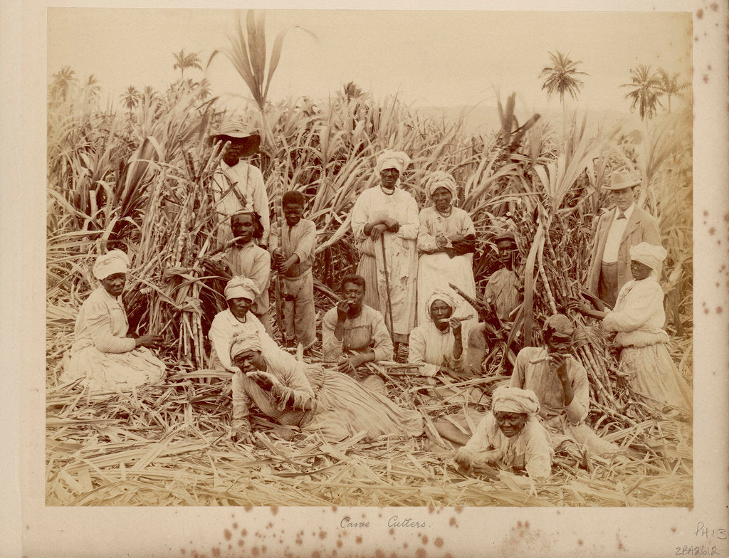 Detail of Sugar-cane cutters in Jamaica by unknown