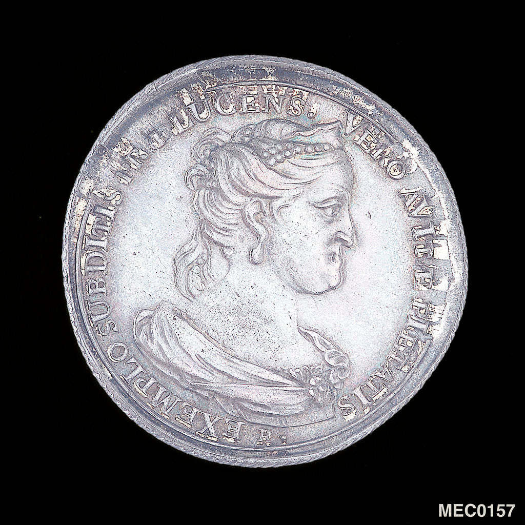 Detail of Medal commemorating Archduchess Marie Elizabeth, Governor General of the Austrian Netherlands by J. Roettier