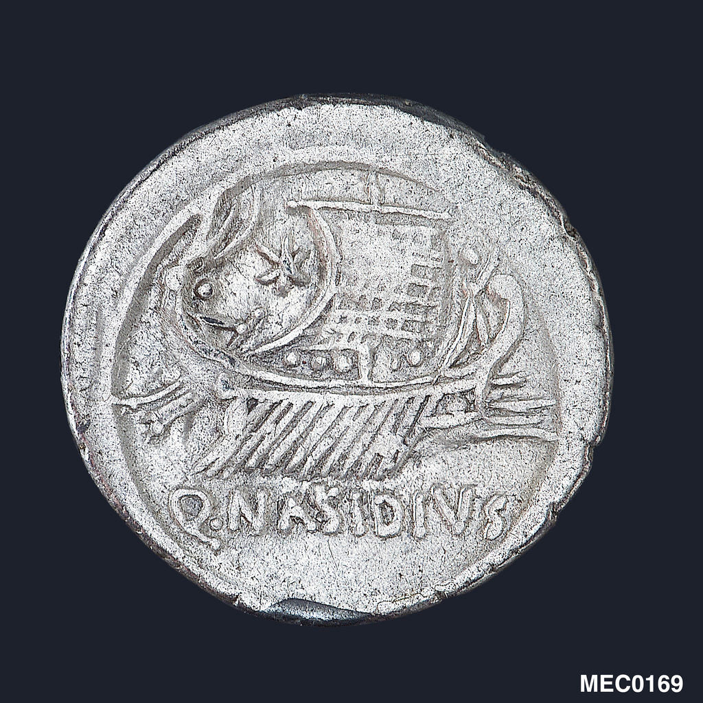 Detail of A denarius commemorating the victories of Q. Nasidius by unknown