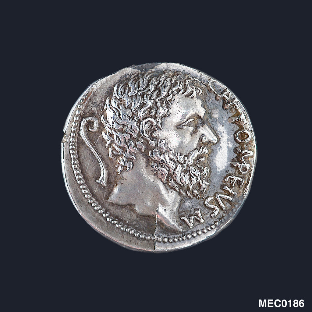Detail of Medal commemorating Pompey the Great (BC 106-48) by G. Cavino
