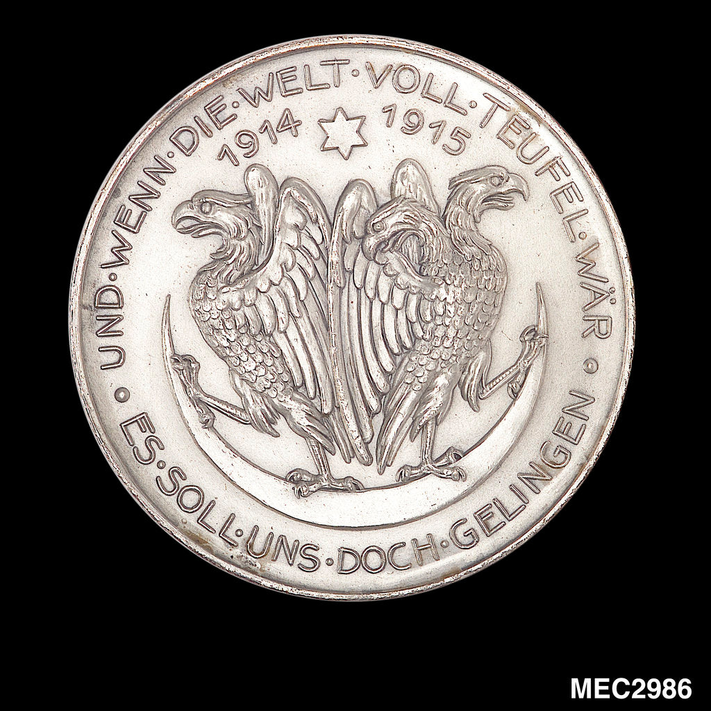 Detail of Medal commemorating the First World War by unknown