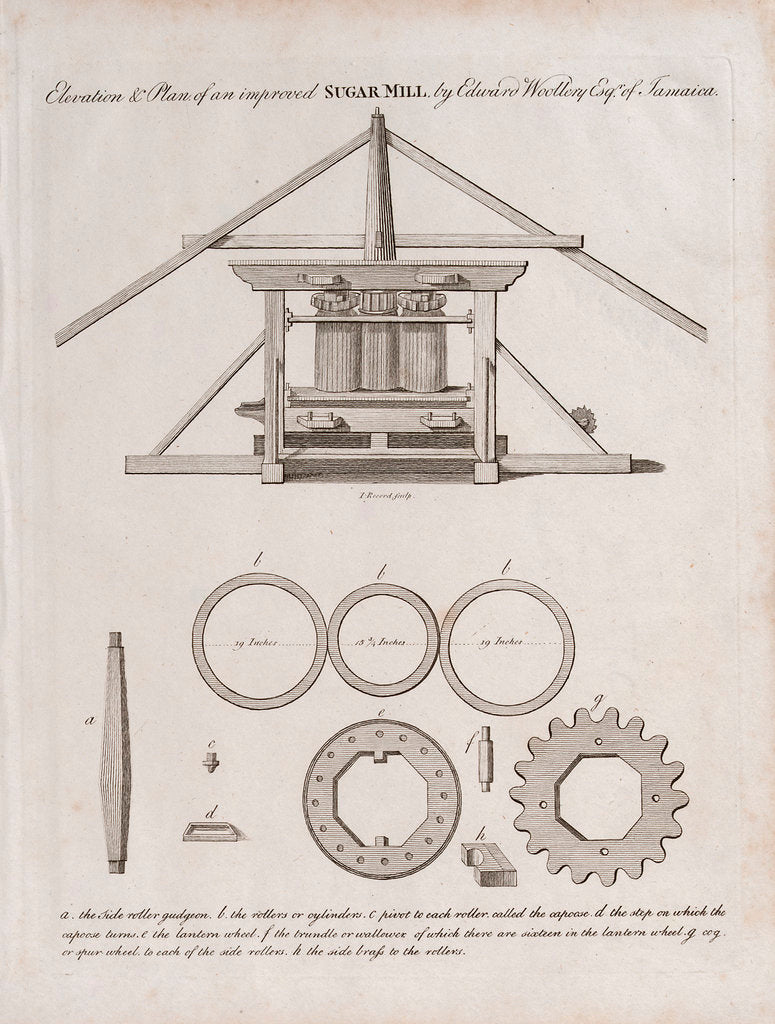Detail of Elevation and Plan of an Improved Sugar Mill' by Edward Wollery