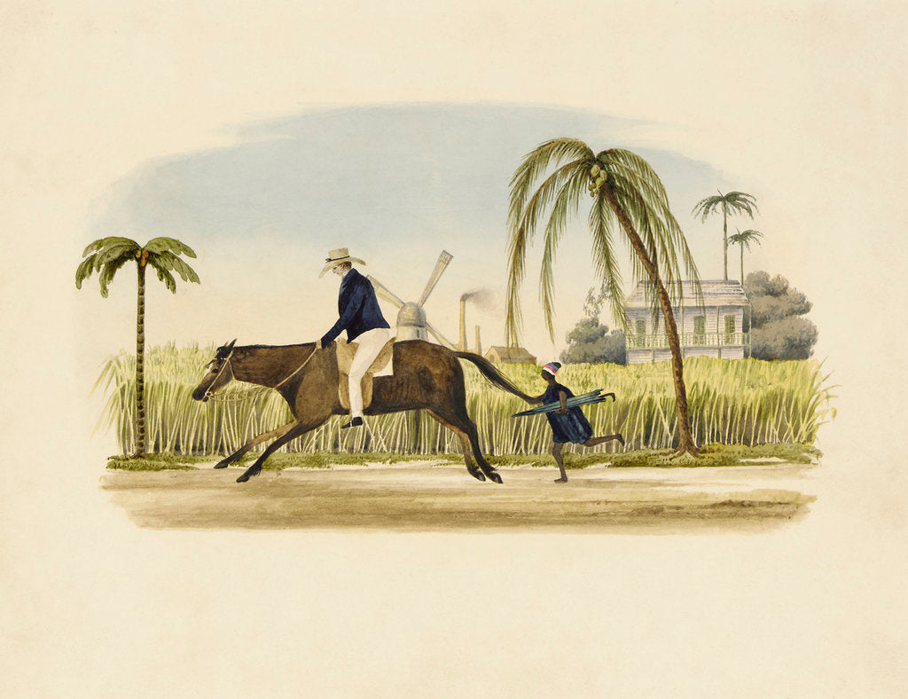 Detail of Barbados by British School