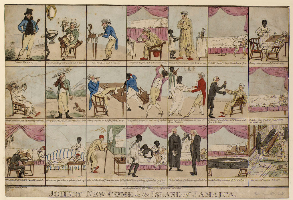 Detail of Johnny New-come in the Island of Jamaica by unknown