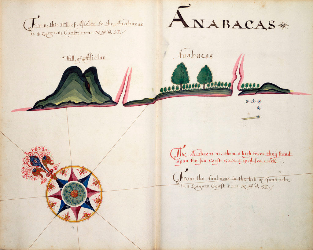 Detail of Anabacas by William Hack