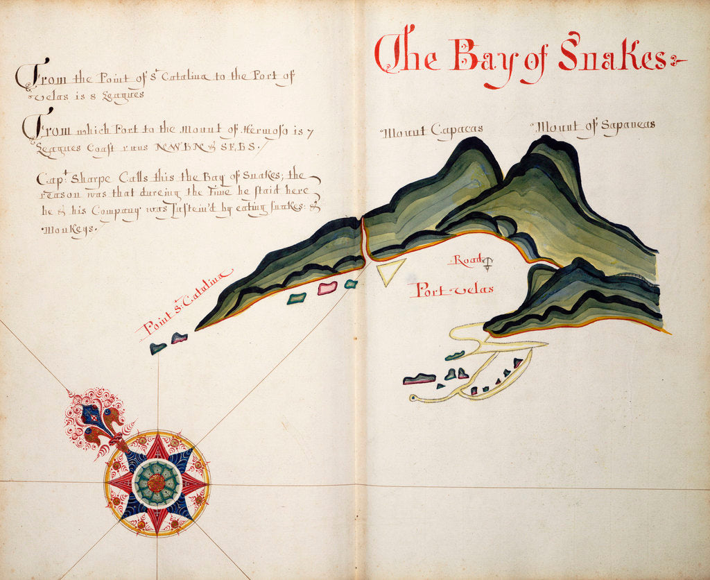 Detail of The Bay of Snakes by William Hack